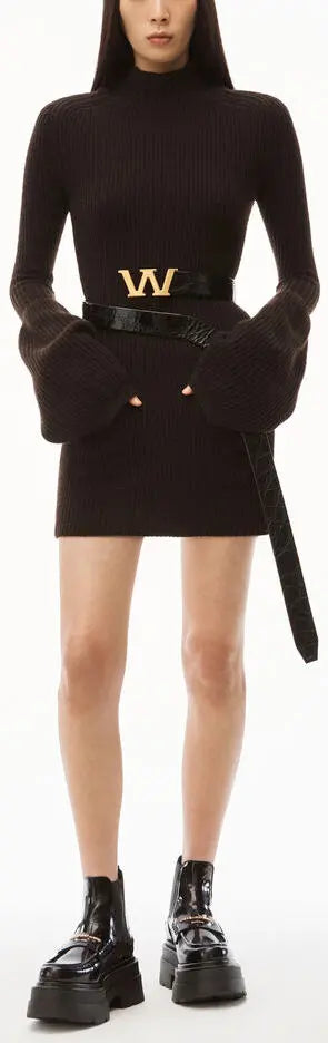 Long-Sleeve Knit Mini Dress Women's Designer Fashions
